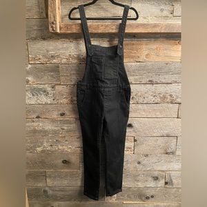 Free People Carpenter Overalls